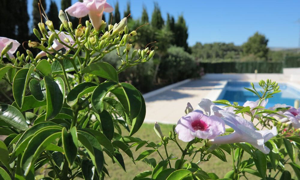 Summer is here in Valencia