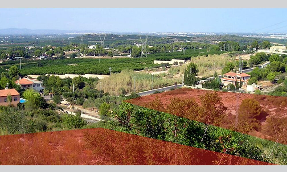 Building plots for sale in Alberic, Valencia – Ref: 009267