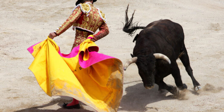 Bullfighting In Spain