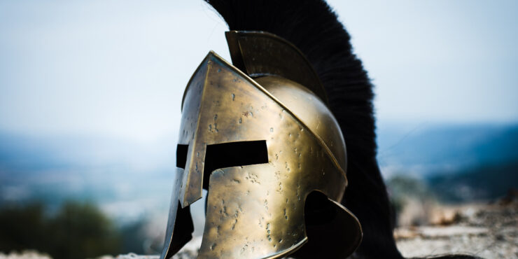 The Spartan Race