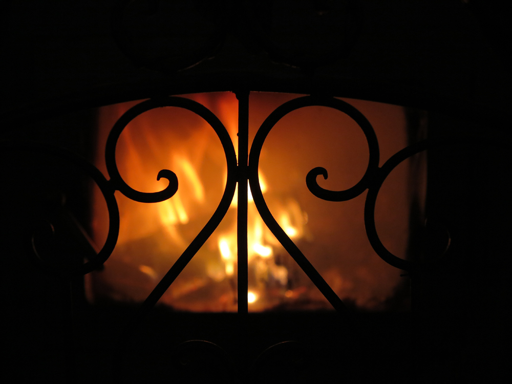 Log burning stove