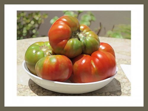 Valencian tomatoes Azahar Properties